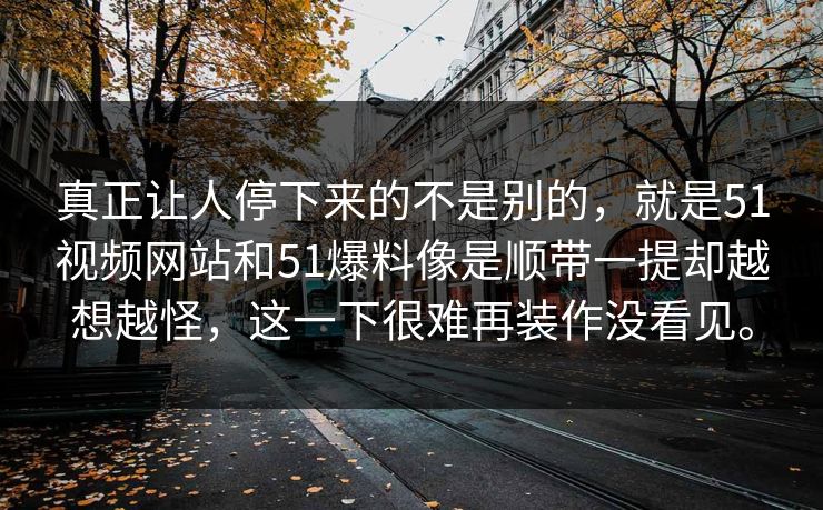 真正让人停下来的不是别的，就是51视频网站和51爆料像是顺带一提却越想越怪，这一下很难再装作没看见。