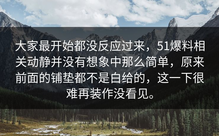 大家最开始都没反应过来，51爆料相关动静并没有想象中那么简单，原来前面的铺垫都不是白给的，这一下很难再装作没看见。
