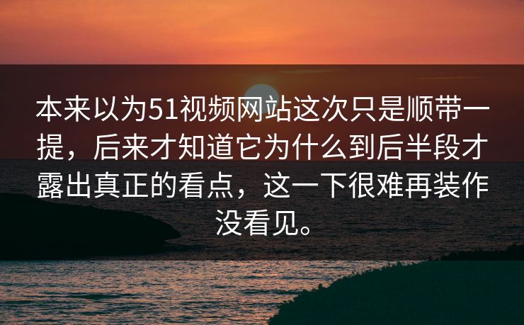本来以为51视频网站这次只是顺带一提，后来才知道它为什么到后半段才露出真正的看点，这一下很难再装作没看见。