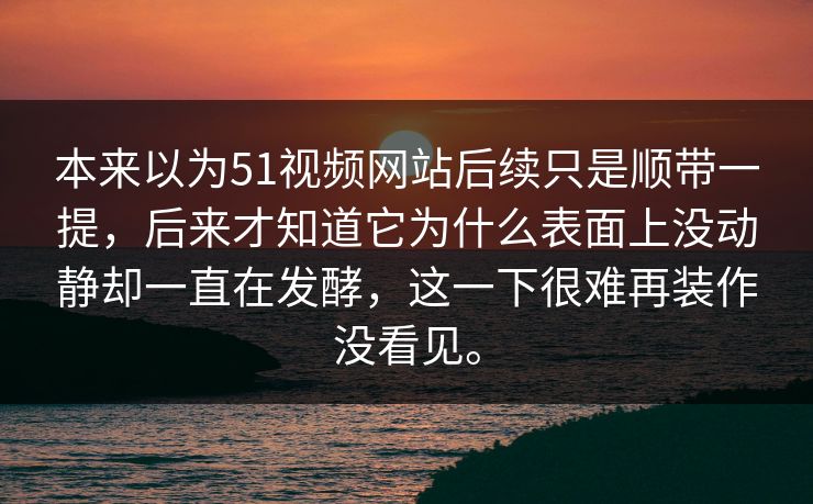 本来以为51视频网站后续只是顺带一提，后来才知道它为什么表面上没动静却一直在发酵，这一下很难再装作没看见。