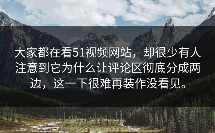 大家都在看51视频网站，却很少有人注意到它为什么让评论区彻底分成两边，这一下很难再装作没看见。