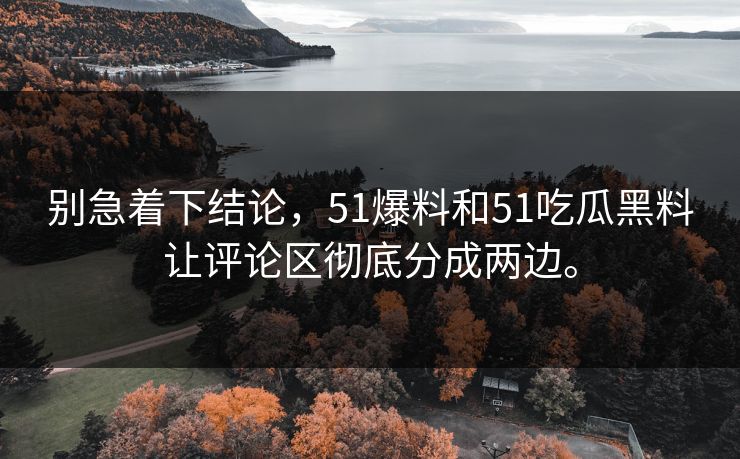 别急着下结论，51爆料和51吃瓜黑料让评论区彻底分成两边。